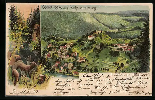 Lithographie Schwarzburg, Blick auf die idyllische Landschaft