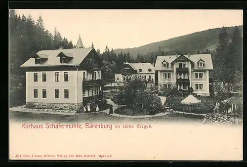 AK Bärenburg /Sa., Hotel Kurhaus Schäfermühle mit Anlagen