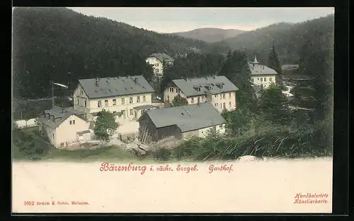 AK Bärenburg /Sa., Teilansicht mit Gasthof aus der Vogelschau