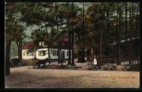 AK Neustadt i. Sa., Hohwaldschänke mit Pferdekutsche