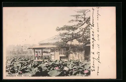 AK Tokio, Shinobazu Pond
