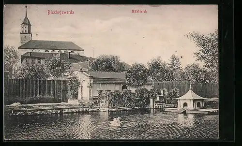 AK Bischofswerda, Blick auf den Mühlteich