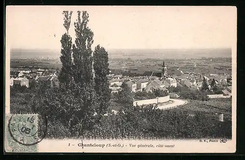 AK Chanteloup, vue generale, cote ouest