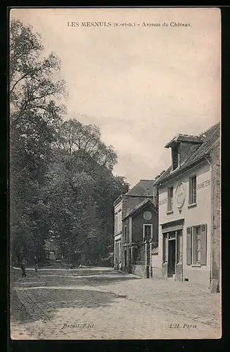 AK Les Mesnuls, Avenue du Chateau