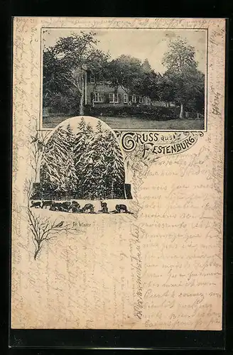 AK Festenburg, Rehe im Winter, Gebäudeansicht mit Garten