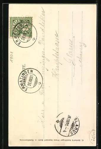 AK Konstanz, Panorama mit weissen Seerosen