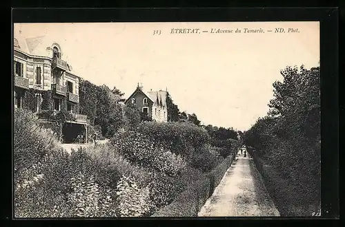 AK Etretat, L`Avenue du Tamaris