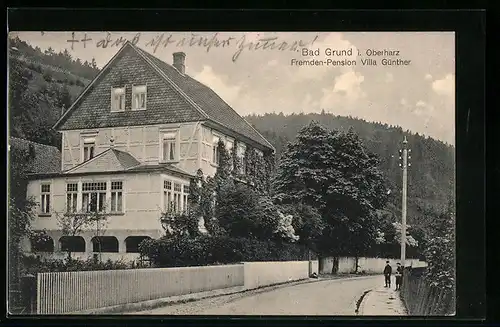 AK Bad Grund /Harz, Hotel-Pension Villa Günther mit Strasse