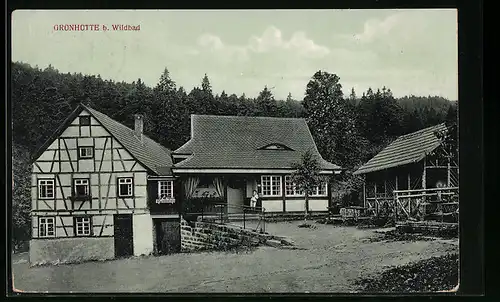 AK Grünhütte b. Wildbad, Ortspartie