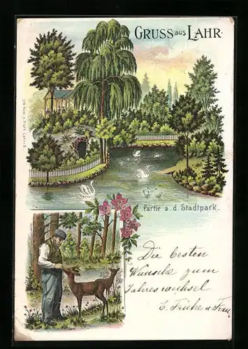 Lithographie Lahr, Partie a. d. Stadtpark, Rehe, Schwanenteich