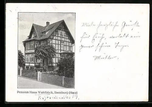 AK Ilsenburg /Harz, Hotel-Pension Haus Waldblick