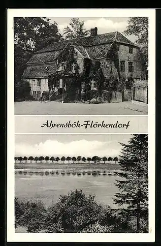 AK Ahrensbök / Flörkendorf, Blick auf den See, altes Fachwerkhaus