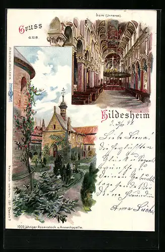 Lithographie Hildesheim, Innenansicht vom Dom, 1000 jähriger Rosenstock u. Annenkapelle