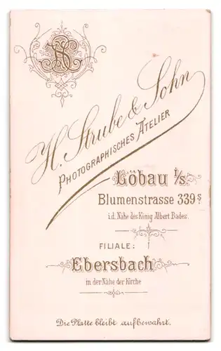 Fotografie H. Strube & Sohn, Löbau i. S., Blumenstr. 339, Junger Herr in modischer Kleidung