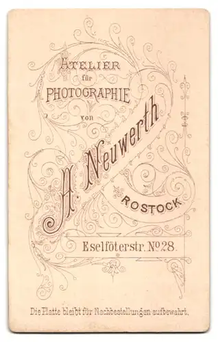 Fotografie A. Neuwerth, Rostock, Eselföterstr. 28, Eleganter Herr mit grauem Vollbart