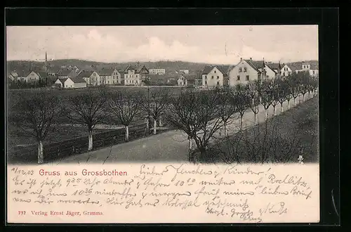 AK Grossbothen, Panorama mit Landstrasse