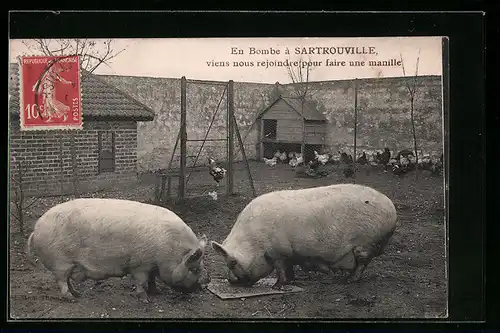 AK Sartrouville, En Bombe, viens nous rejoindre pour faire une manille