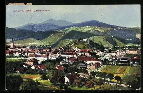 AK Bruck a.d. Mur, Gesamtansicht, Panorama
