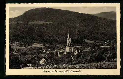 AK Gams /Frauental, Blick auf den idyllischen Ort