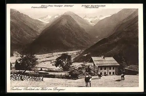 AK Wald / Pinzgau, Gasthaus Rechtegg