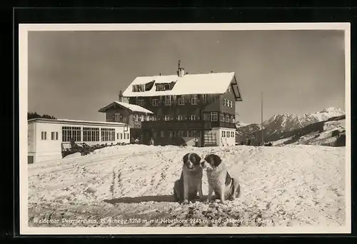 AK Hirschegg, Waldemar Petersenhaus mit Nebelhorn und Hardy und Barry