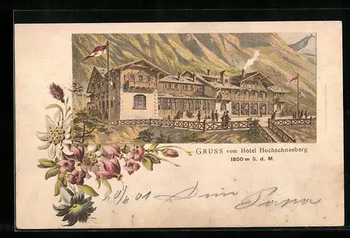 Lithographie Hochschneeberg, Hotel Hochschneeberg, Alpenblumen