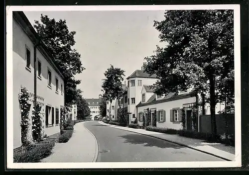 AK Berlin-Kladow, Siedlung Siemensstadt, Rapsstrasse