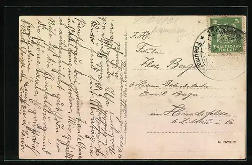 AK Punschrau, Totalansicht, Schankwirtschaft z. Linde, Partie am Teich