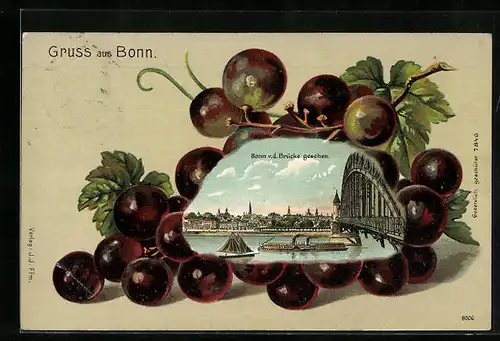 Passepartout-Lithographie Bonn, Stadtansicht mit Brücke auf Trauben