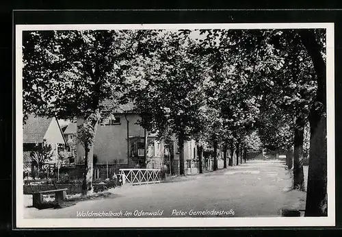 AK Waldmichelbach im Odenwald, Peter Gemeinderstrasse