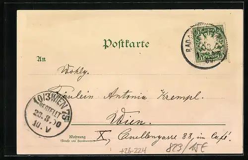 Künstler-AK Erwin Spindler: Reichenhall, Panoramablick auf den Thumsee