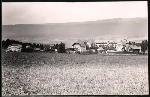 Fotografie unbekannter Fotograf, Ansicht Preles, Partie am Ortsrand