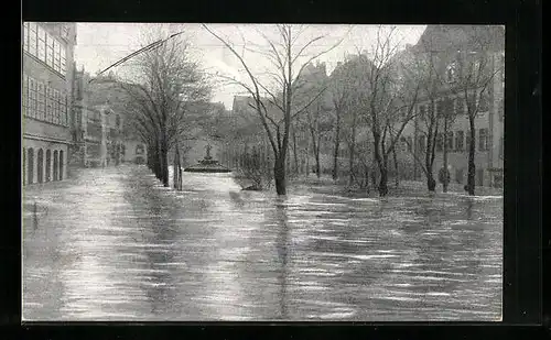 AK Nürnberg, Hochwasser-Katastrophe vom 05. Febr. 1909, Denkmal auf dem Maxplatz