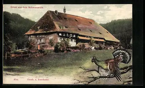 AK Aha /Schwarzwald, Blick auf das Gasthaus zum Auerhahn