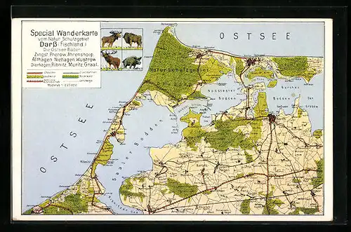 Künstler-AK Darss /Ostsee, Special Wanderkarte mit Lüdeshagen, Barth und Bodstedt