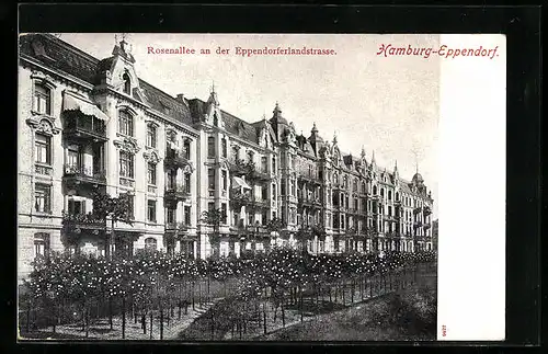 AK Hamburg-Eppendorf, Rosenallee an der Eppendorferlandstrasse