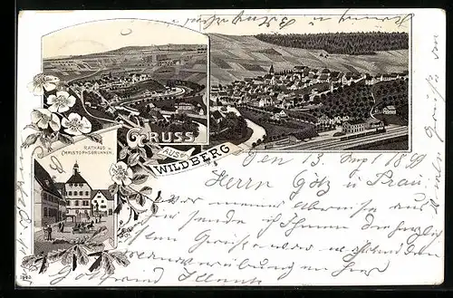 Lithographie Wildberg, Totalansicht, Rathaus u. Christophsbrunnen