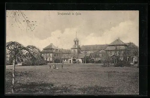 AK Celle, Strafanstalt, von einer Wiese gesehen