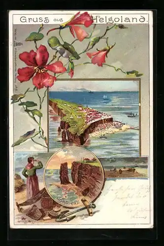 Lithographie Helgoland, Totalansicht aus der Vogelschau, Nord-Cap