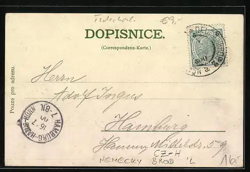 Lithographie Nem. Brod, Havlickuv dum, Nemocnice, Radnice