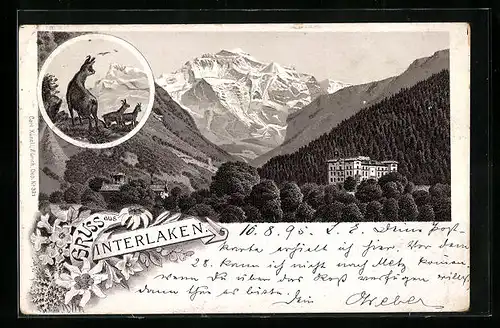 Vorläufer-Lithographie Interlaken, 1895, Kurhotel, Panorama, Gämsen