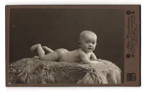 Fotografie Max Hinzelmann, Cottbus, Kleiner nackter Matz auf einem Fell