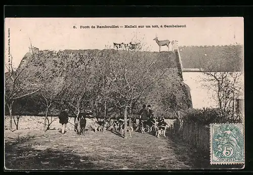 AK Gambaiseuil, Foret de Rambouillet, Hallali sur un un toit