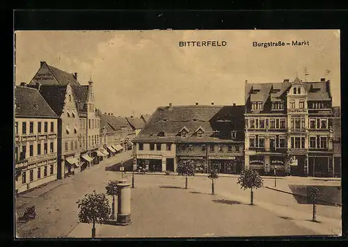 AK Bitterfeld, Markt mit Burgstrasse