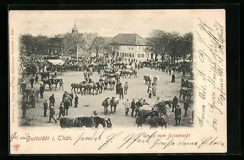 AK Buttstädt i. Thür., Partie auf dem Rossmarkt