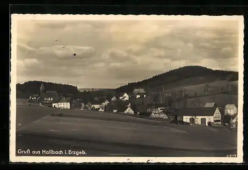 AK Hallbach i. Erzgeb., Blick über die Felder auf den Ort