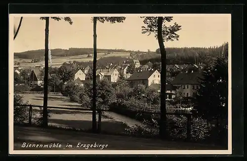AK Bienenmühle i. Erzgeb., Blick durch die Bäume auf die Ortschaft