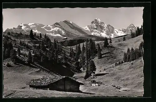 AK Mürren, Winteregg mit Tschingelspitz, Spaltenhorn und Büttlassen