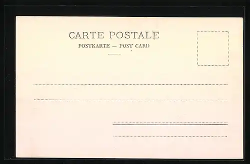 AK Neuchâtel, Vue sur le Château et la Collégiale depuis le lac