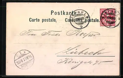Vorläufer-Lithographie Rigi-Kulm, 1895, Totalansicht mit Hotels und Bergbahn